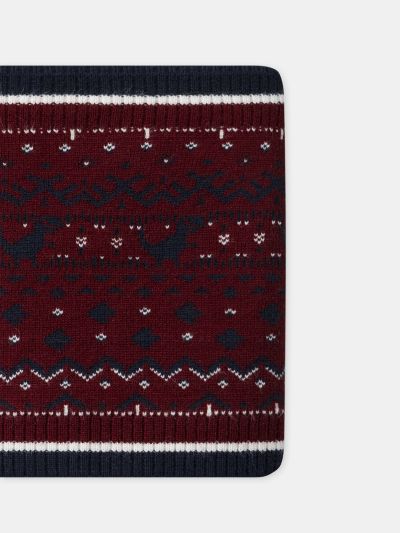 ЖАКАРДОВ СНУД ЗА МОМЧЕ